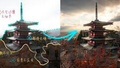 世界杯通杀什么意思-世界杯通杀，足球盛宴中的激情与策略