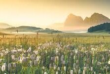 足球比分直播jie-足球比分直播，连接世界的绿茵激情纽带